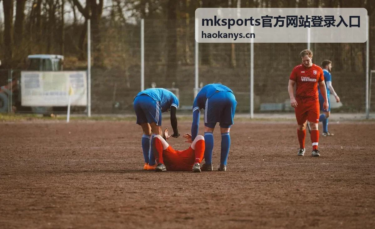 mksports官方网站登录入口 多终端同步
