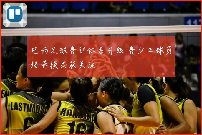 巴西足球青训体系升级 青少年球员培养模式获关注